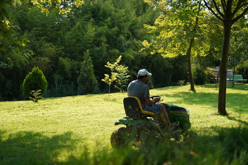 Lawn care Ottawa: a ride-on mower cutting a green lawn beside a line of trees