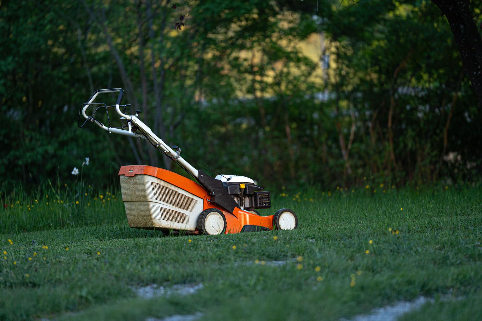 Lawn mowing Ottawa: a walk-behind mower on a freshly cut backyard lawn